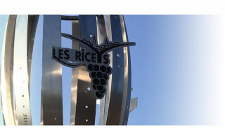 Les Riceys, Fltes  Champagne en inox