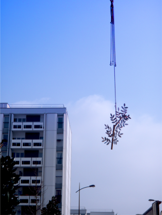 Arbre de Vie, dcouvrez l'volution de l'oeuvre