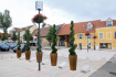 Jardinière EKZA PÖ
