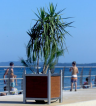 Jardinière JUMO